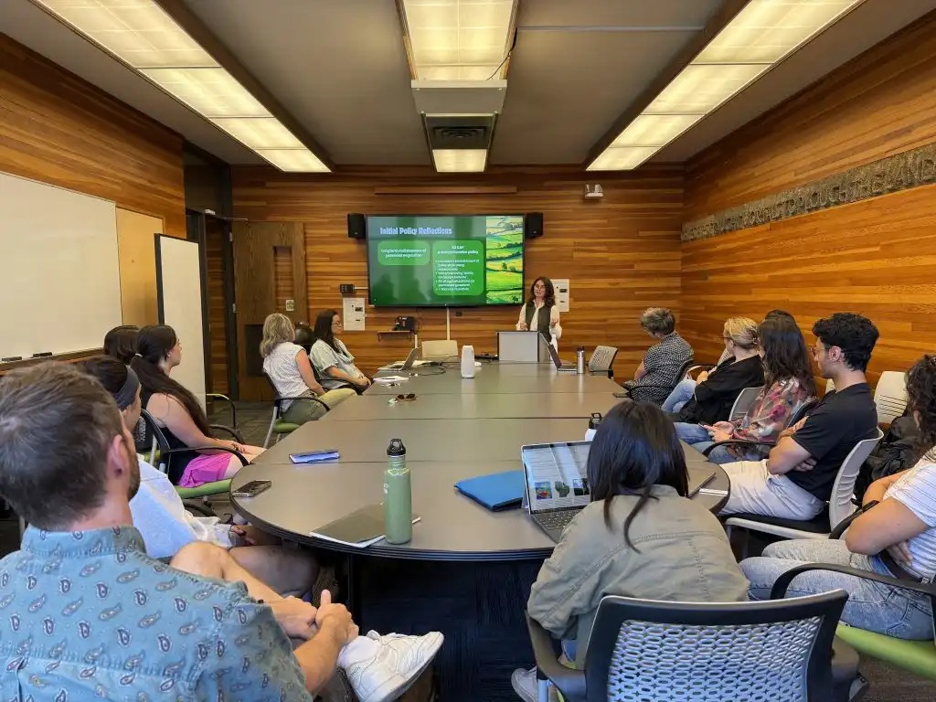 Anouk Bassou presents her work